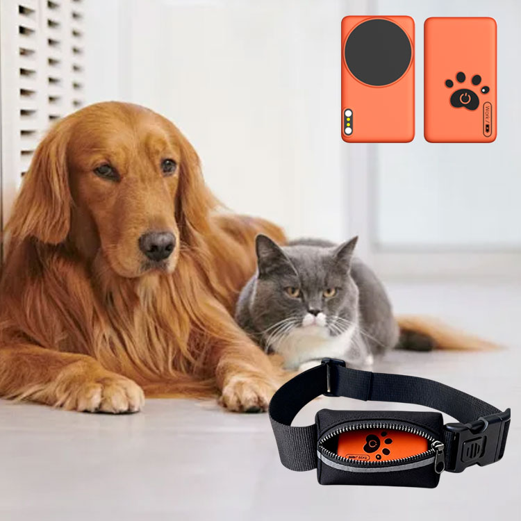 AI Wearable Pet Health Monitor – Breath Rate Monitor Bewertung und Preis